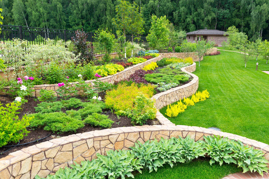 Is liquid or granular fertilizer better for your lawn and garden?
