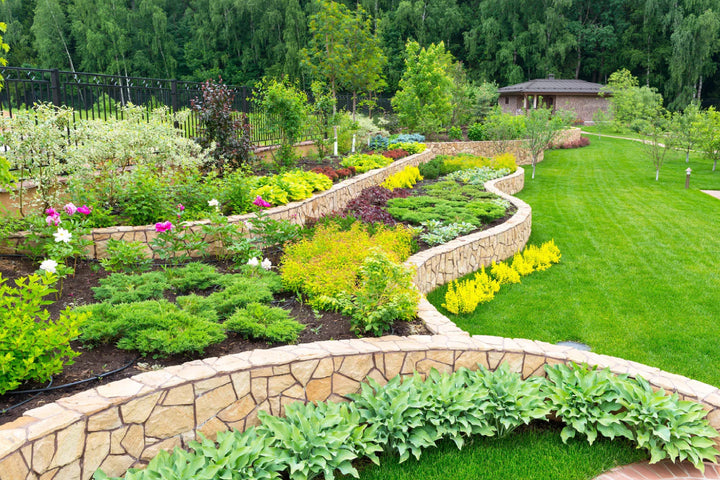 Is liquid or granular fertilizer better for your lawn and garden?